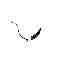 Misty Whale
